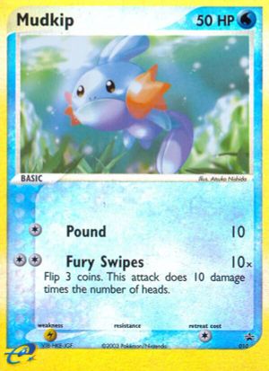 Mudkip