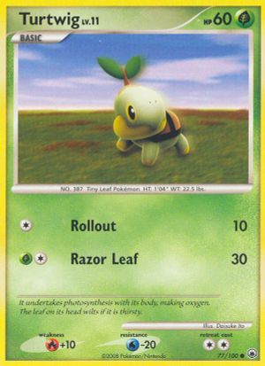 Turtwig