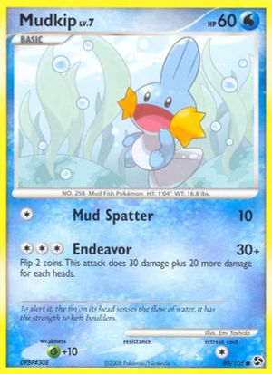 Mudkip