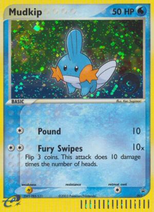 Mudkip